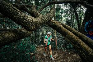 BIB: 
                            <button type="button" onclick="openModal(25707276)" class="btn btn-primary btn-sm float-right btn-popup" data-toggle="modal" data-target=".modal-high-quality">
                        <i class="fas fa-shopping-cart"></i> Add to Cart
                    </button>
                                            <button type="button" onclick="isThisMe(25707276, true)" class="btn btn-success btn-sm float-right btn-popup btn-isme hidden" data-toggle="tooltip" data-placement="bottom" title="นี่คือรูปของคุณใช่ไหม คลิกที่นี่เพื่อเอาเข้าอัลบั้ม">
                        <i class="fas fa-plus"></i> Add to album
                    </button>
                    <button type="button" onclick="isThisMe(25707276, false)" class="btn btn-warning btn-sm float-right btn-popup btn-isnotme hidden">
                        <i class="fas fa-ban"></i> Remove from album
                    </button>